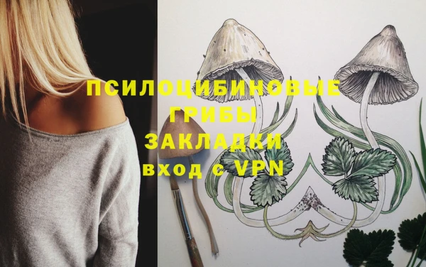 гидропоника Кинешма