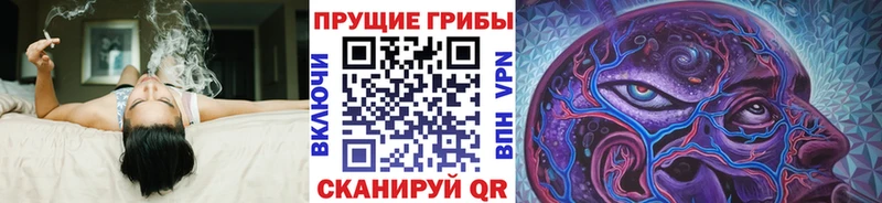 Псилоцибиновые грибы MAGIC MUSHROOMS  Купить  Красный Холм 